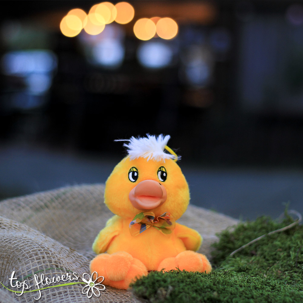 Plush yellow duck with sound | 25 cm.