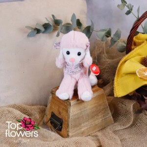 Poodle with Towel Pink | 24 cm.
