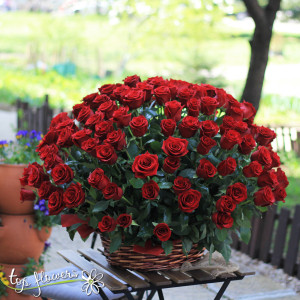 Basket 151 Red Roses