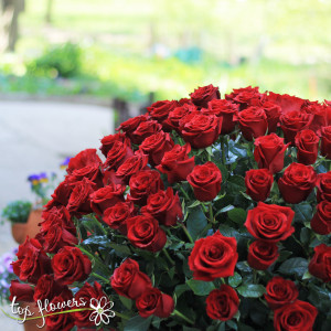 Basket 151 Red Roses