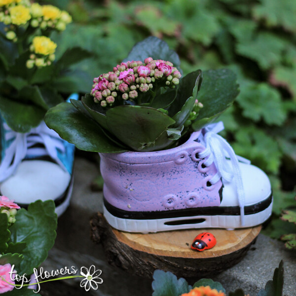 Kalanchoe sneakers - Image 4
