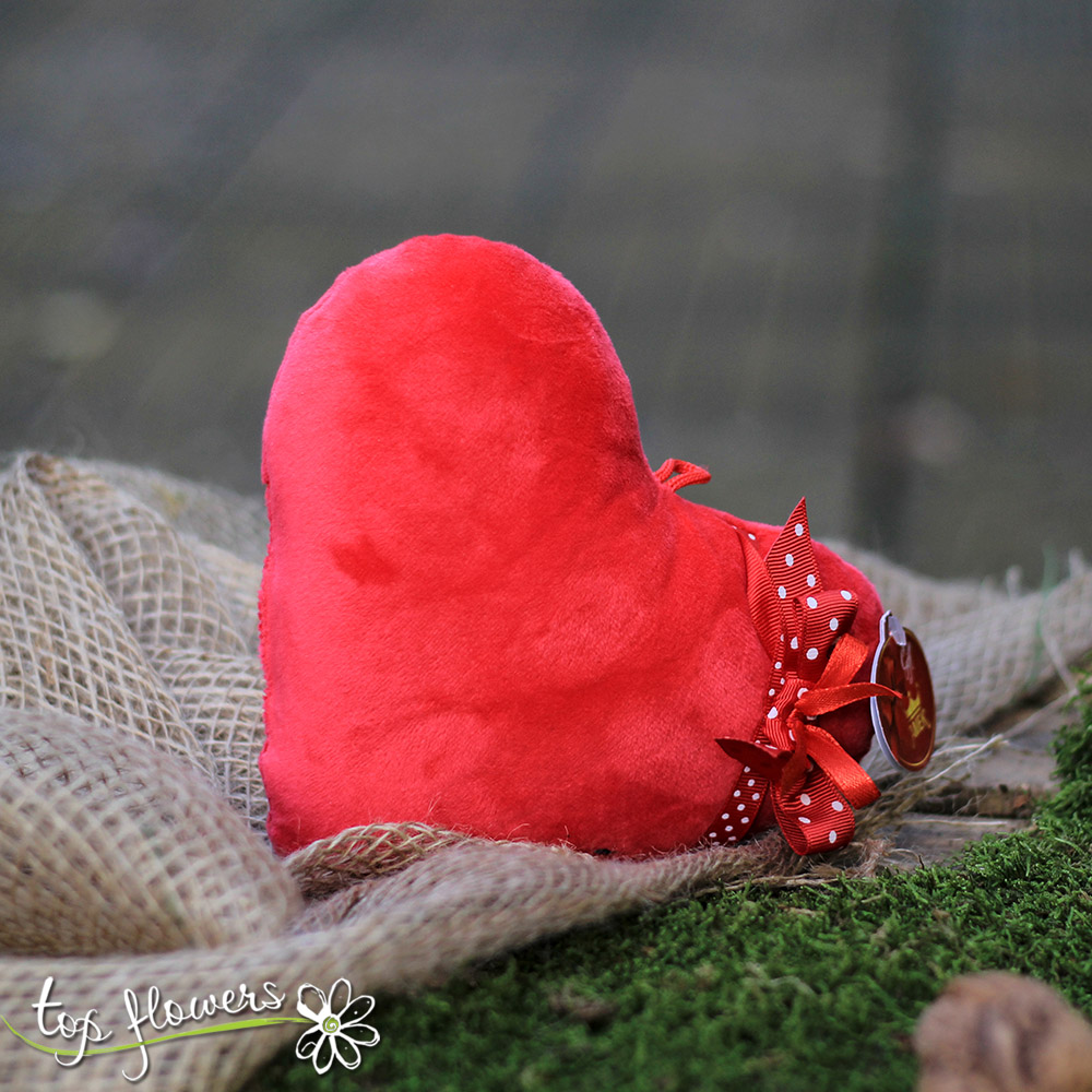 Plush heart | 20 cm.