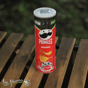 pringals 01
