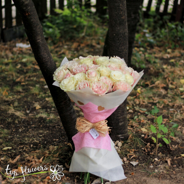 31 white and pink roses | Bouquet