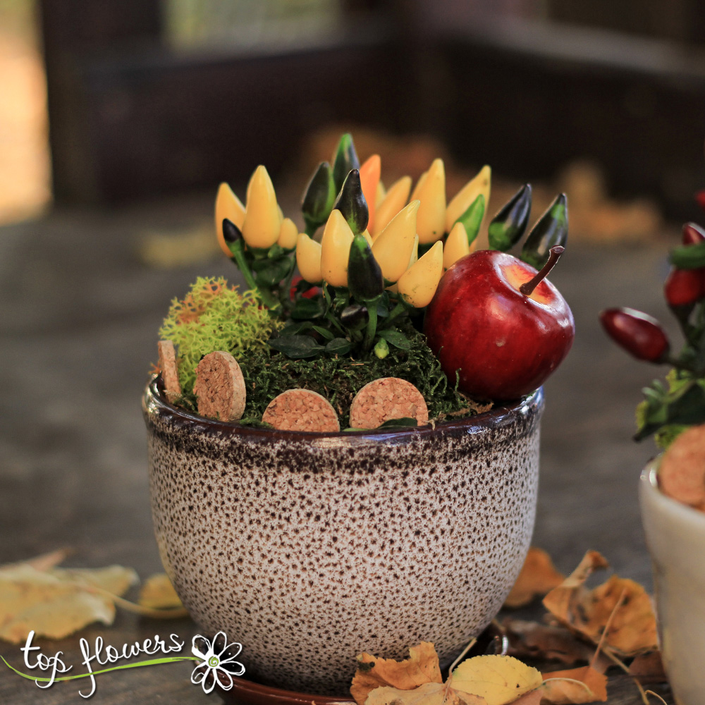 Люти чушки в керамична кашпа. Top-Flowers доставка на цветя