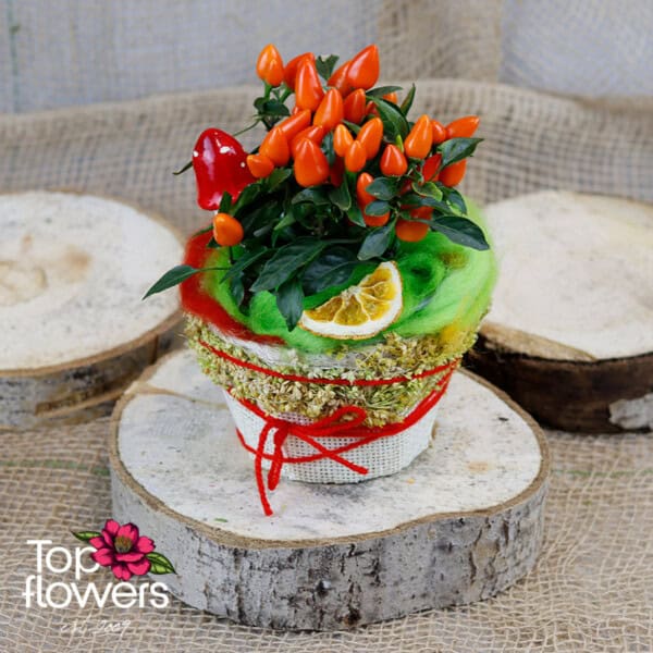 Hot peppers in paneer - Image 2