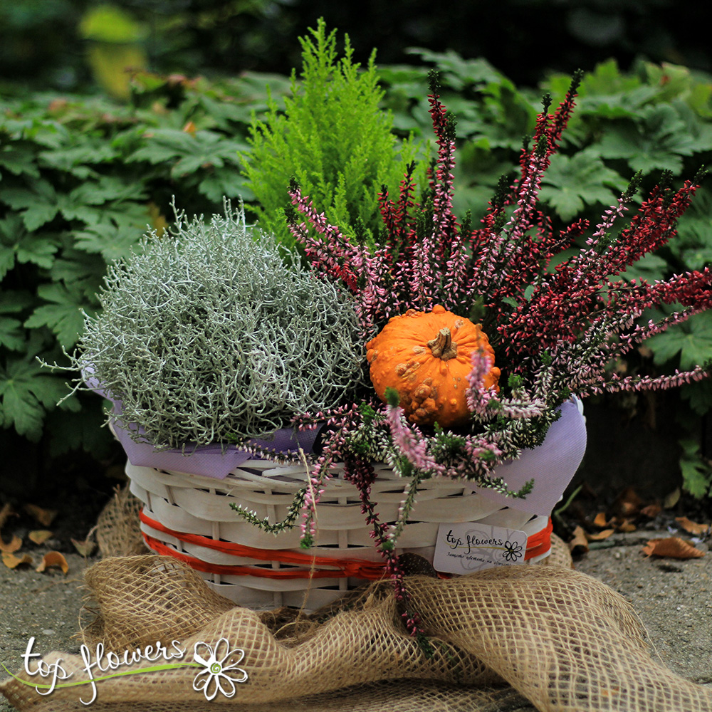 Decorative paneer with plants