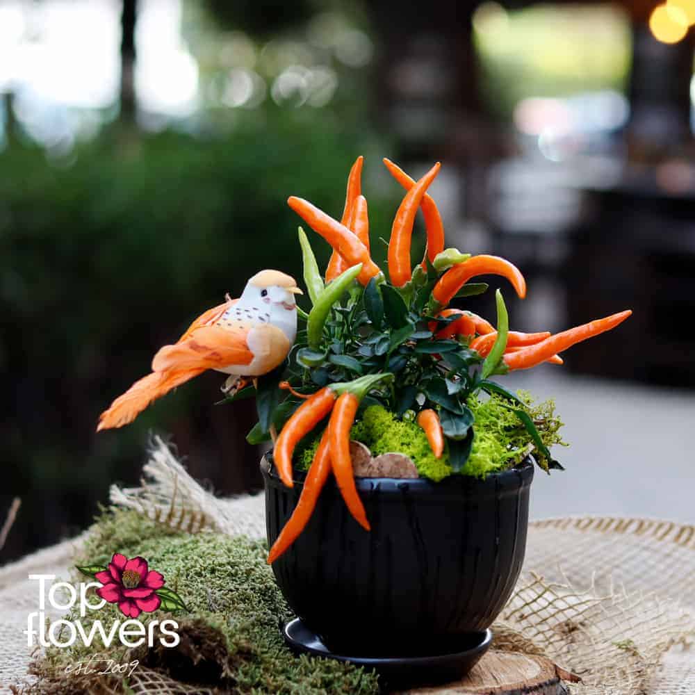 Hot peppers in a ceramic pot