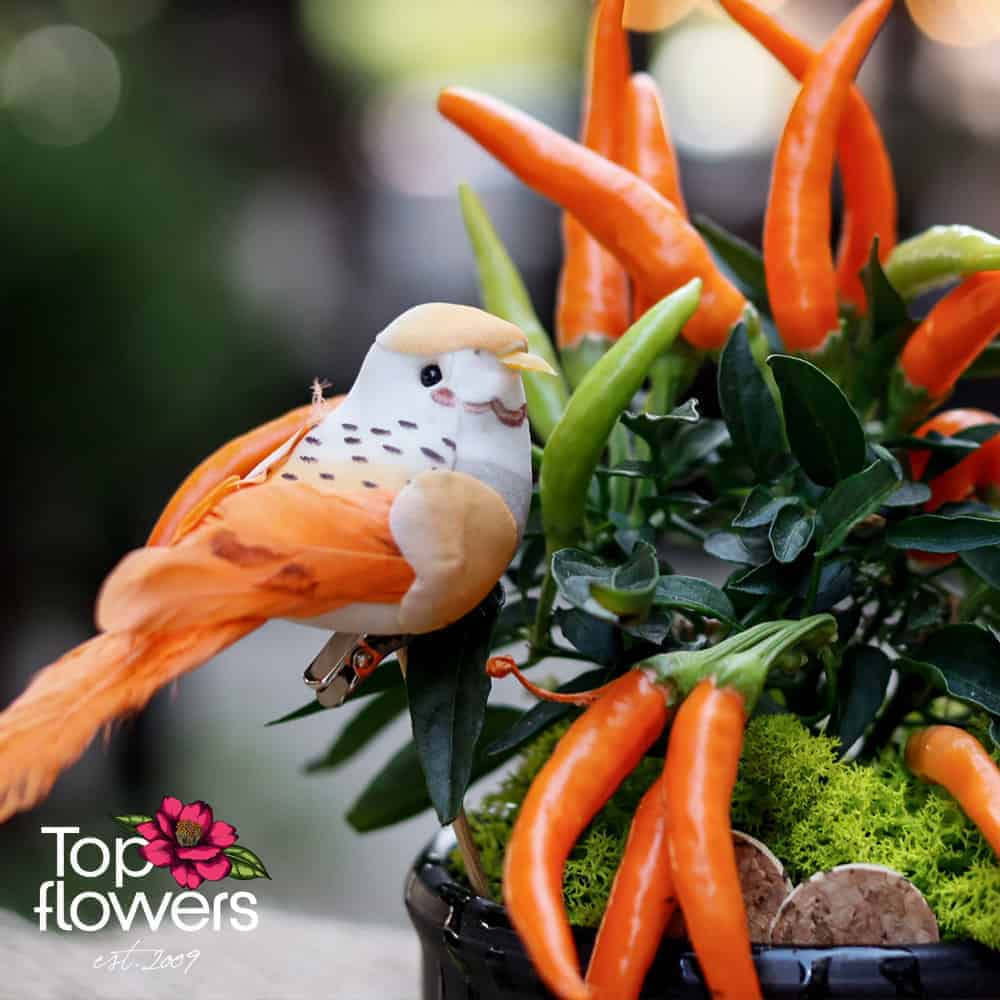 Hot peppers in a ceramic pot