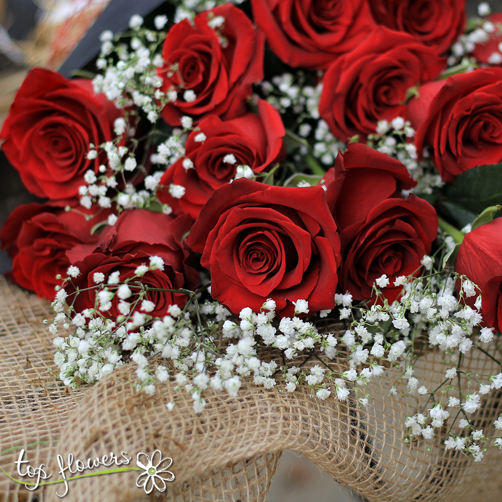 Classic bouquet | Red roses with gypsophila