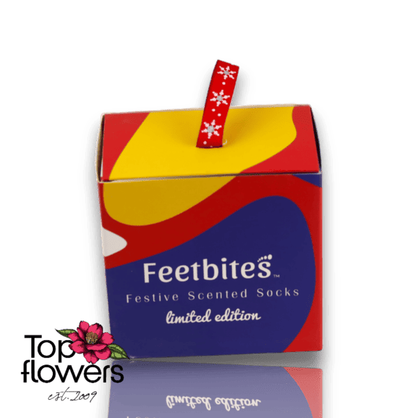 Scented Christmas Socks | Feetbites Apple and Cinnamon