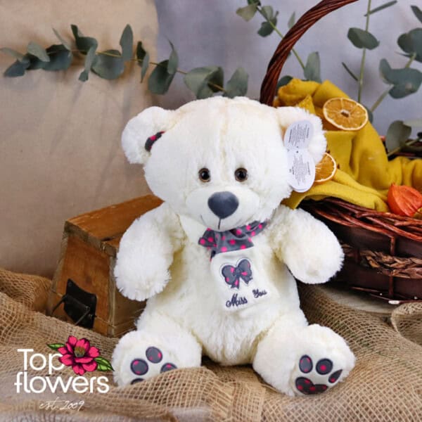 Teddy Bear with а scarf White | 30 cm.