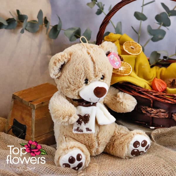 Teddy Bear with а scarf Brown | 30 cm.