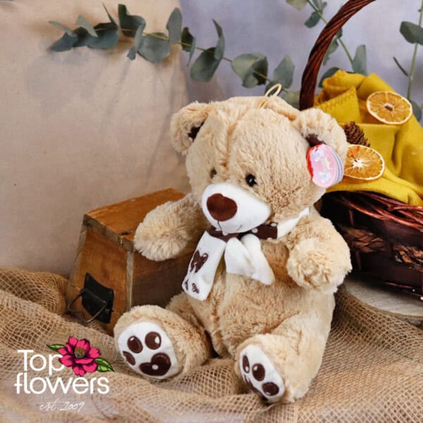 Teddy Bear with а scarf Brown | 30 cm.