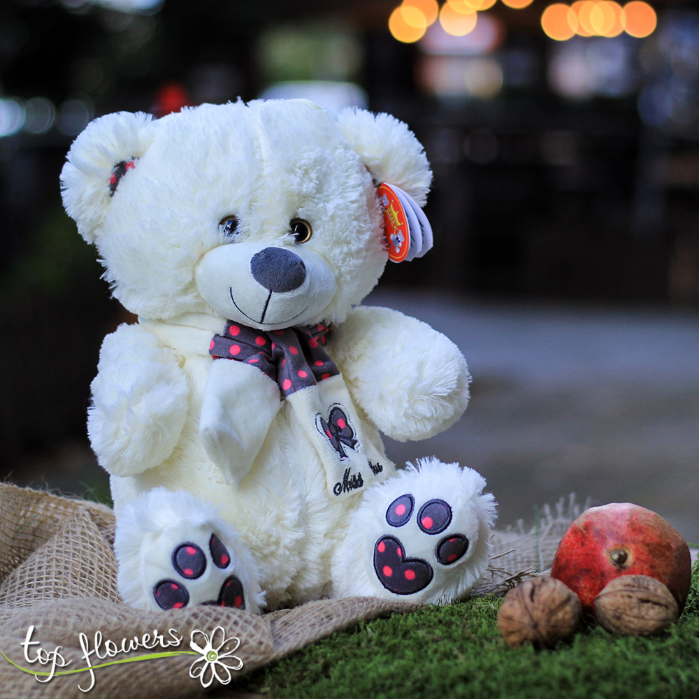 Teddy Bear with а scarf White | 30 cm.
