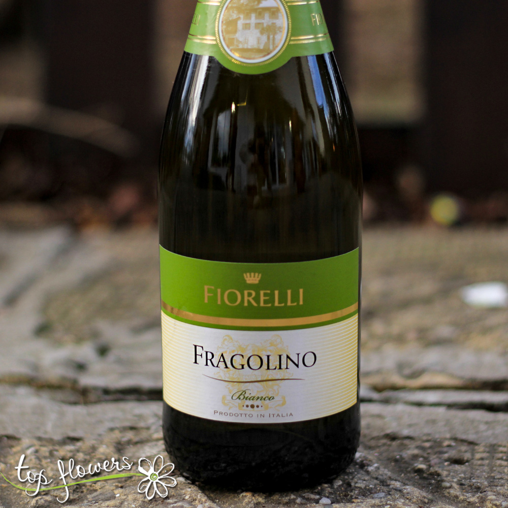 fragolino | fiorelli