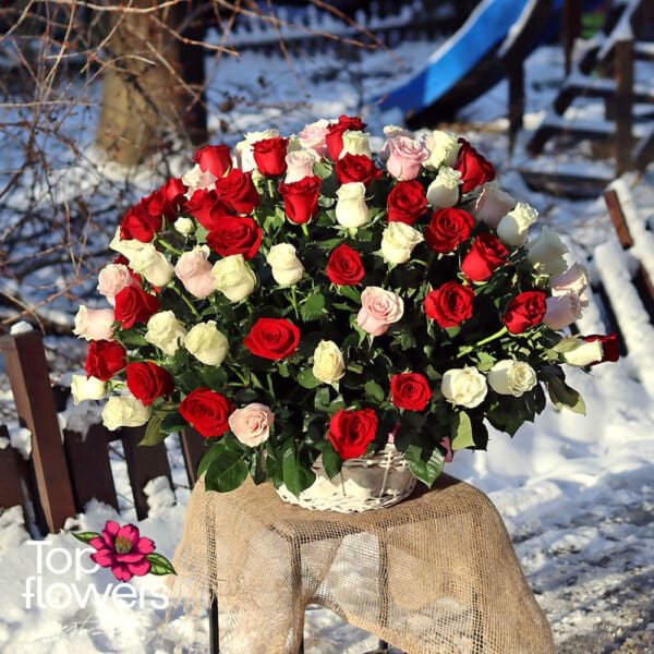 Basket 101 red, white and pink roses