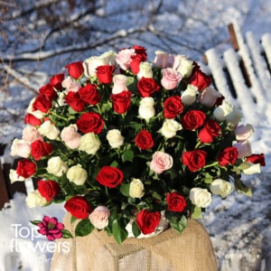 Basket 101 red, white and pink roses