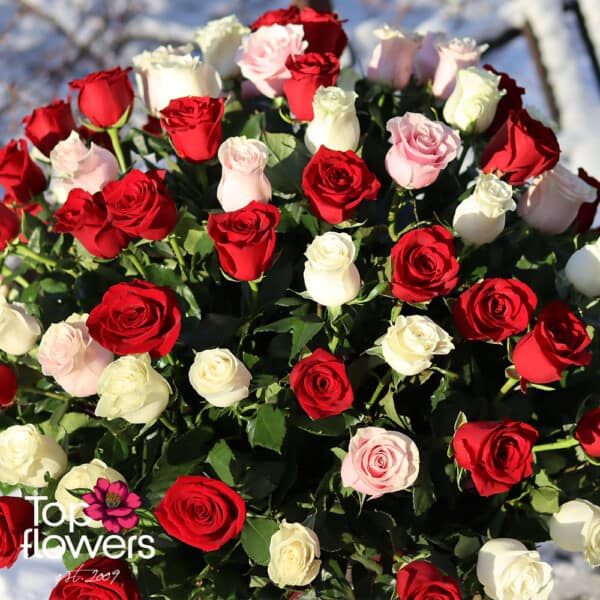 101 червени, бели и розови рози | Кошница