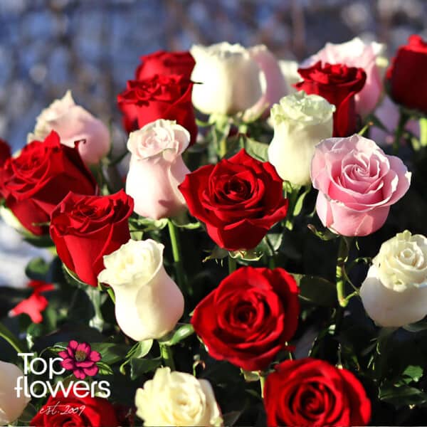 101 червени, бели и розови рози | Кошница