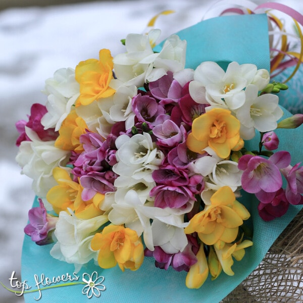 Classic bouquet | Freesias