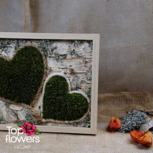 Living Picture | Two Hearts