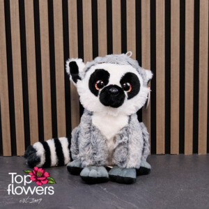 Lemur | 25 cm.