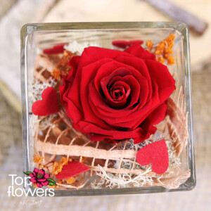 Top view of an eternal red rose in a glass vessel with decorative elements