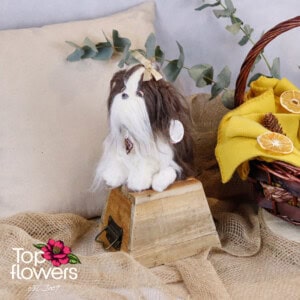 Yorkshire Terrier dog gray, brown or black | 20 cm.
