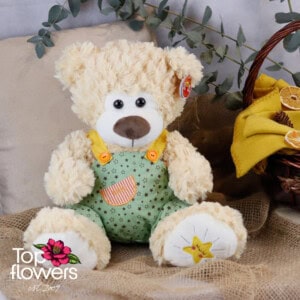Green overall teddy bear | 42 cm.