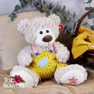 Yellow overall teddy bear | 42 cm.