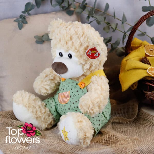 Green overall teddy bear | 42 cm.