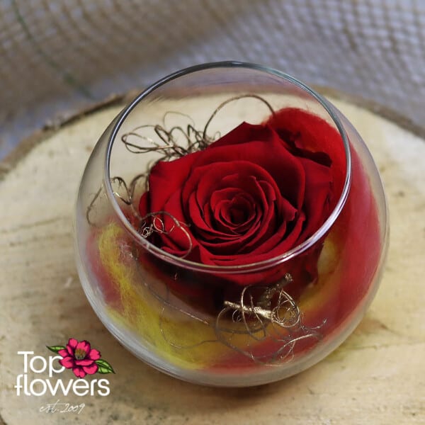 Вечна роза в стъклена сфера | Червена