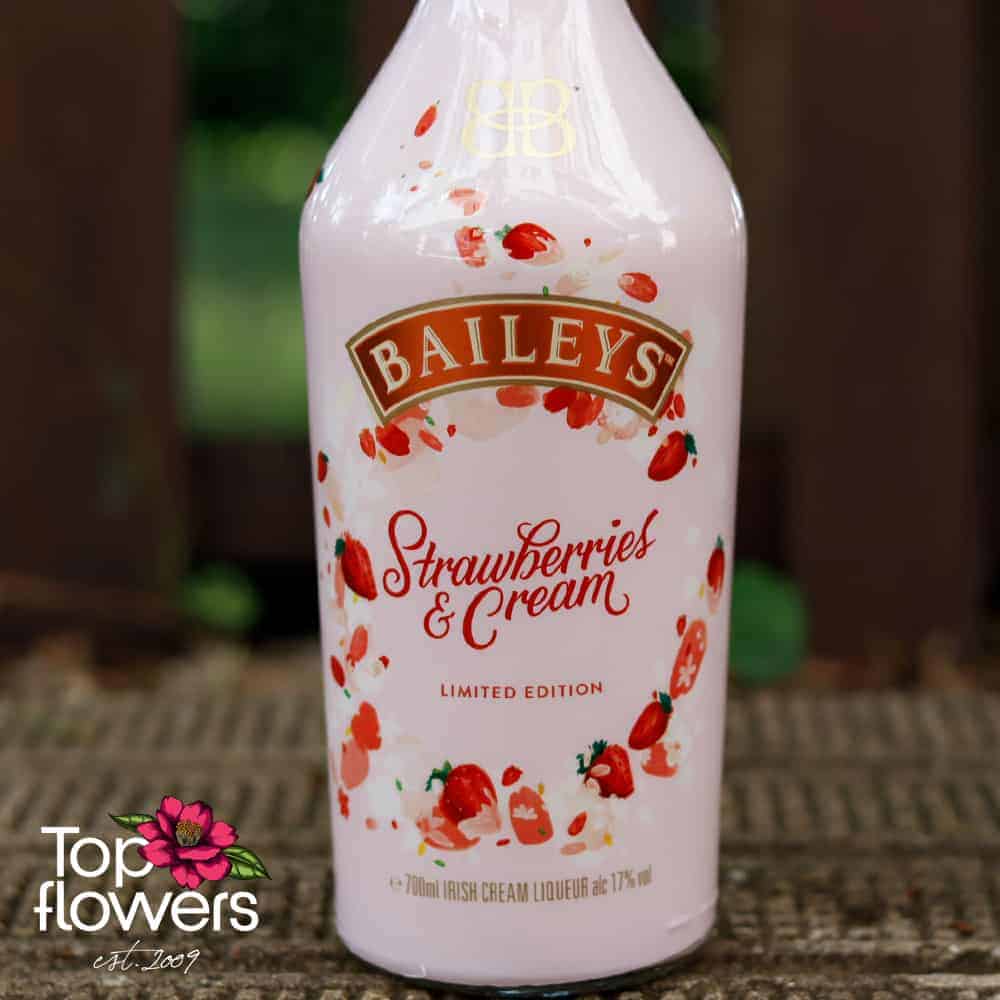 baileys strawberries and cream | Ликьор