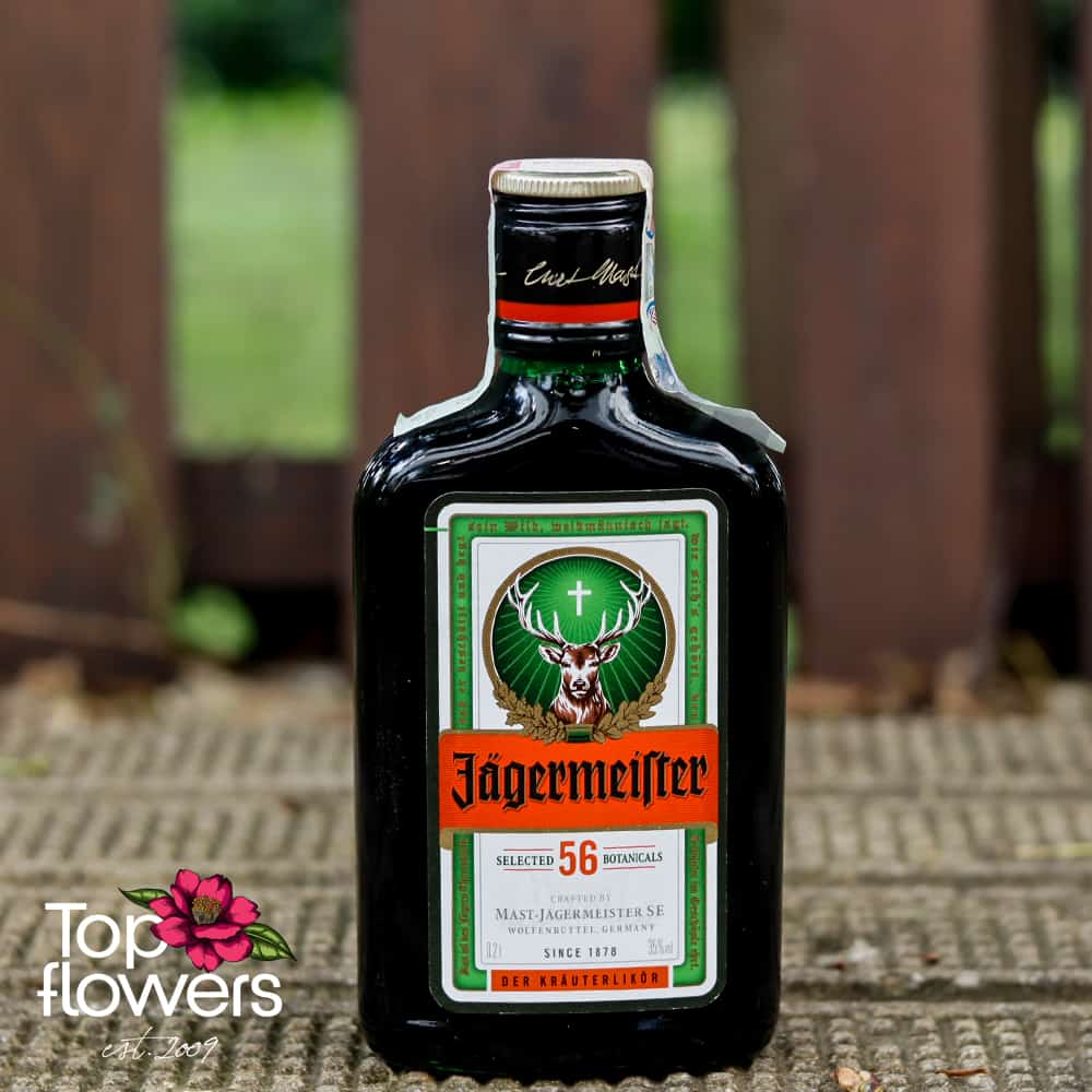 Ликьор jagermeister | 200 мл.