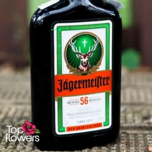 Jagermeister MINI | Liqueur