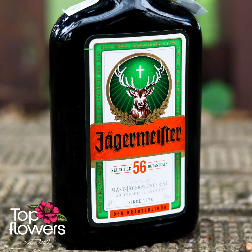 Ликьор jagermeister | 200 мл.