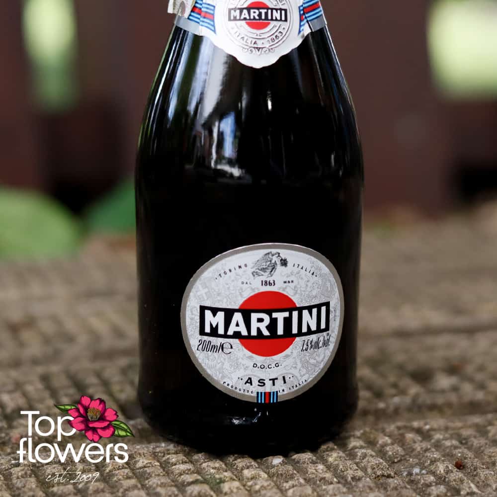 martini "asti" mini | Просеко