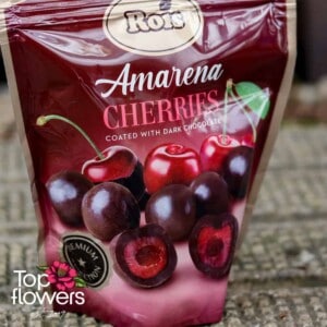 Royce Choco Candy | Cherry 100 g.