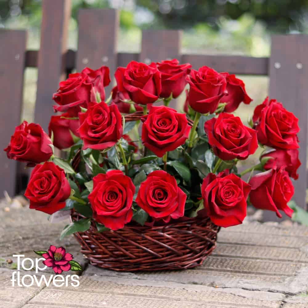 Basket of 25 red roses