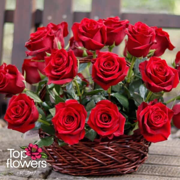 25 red roses | Basket