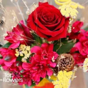 Polish Joy | Red | Arrangement