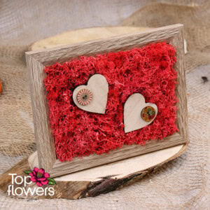 Living Picture | Scarlet Buttons