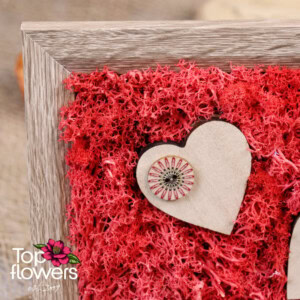 Living Picture | Scarlet Buttons