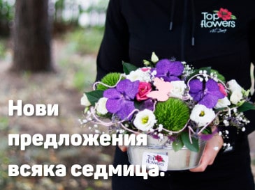 Експресна доставка на растения в саксии до адрес.