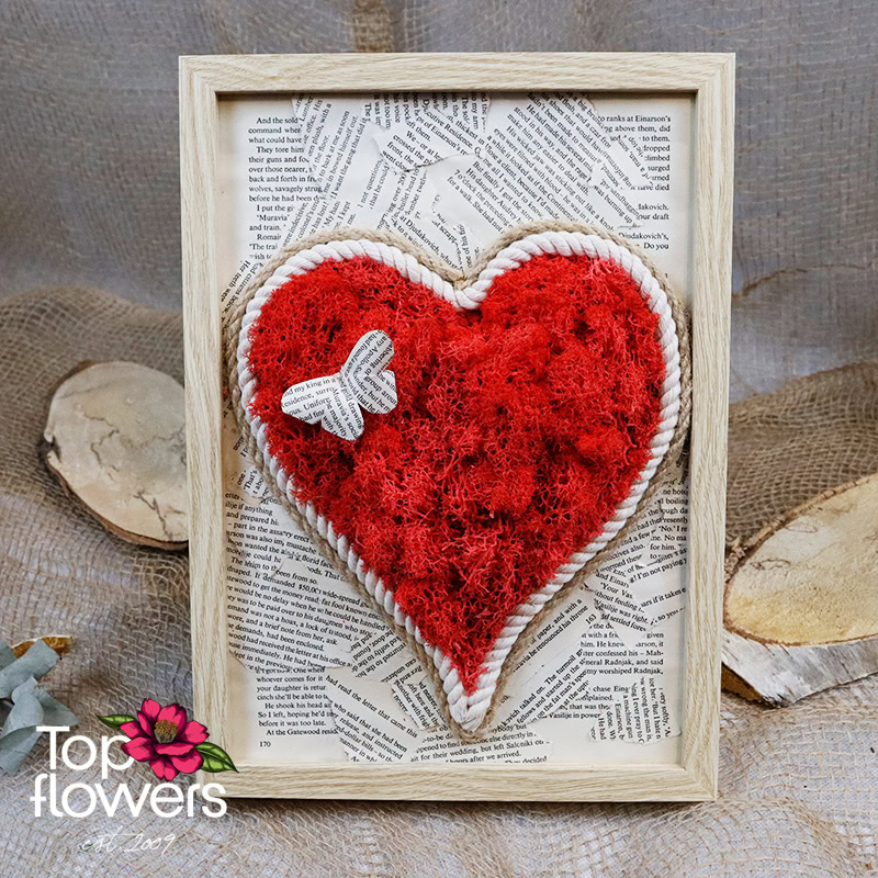 Live Picture | Illusion II