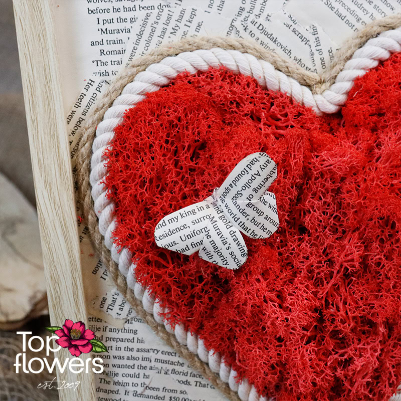 Live Picture | Illusion II - Image 5