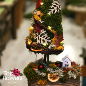 Основата на композицията с мъх, канела и декоративни коледни елементи – Top Flowers
