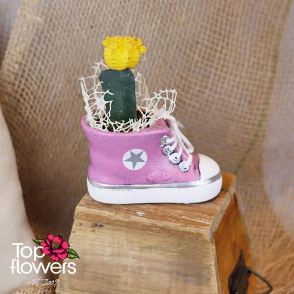 Cactus | Grafting - Image 2