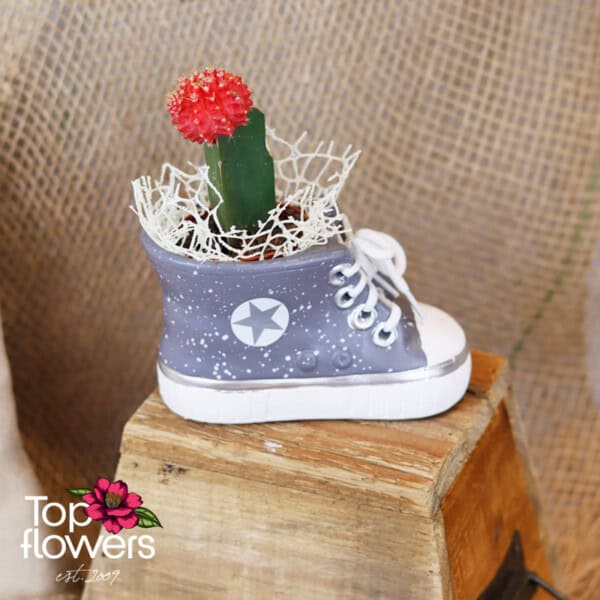 Cactus | Grafting - Image 4